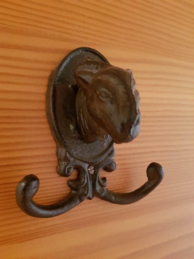 Appartements Gosaukamm.Com Eksteriør billede
